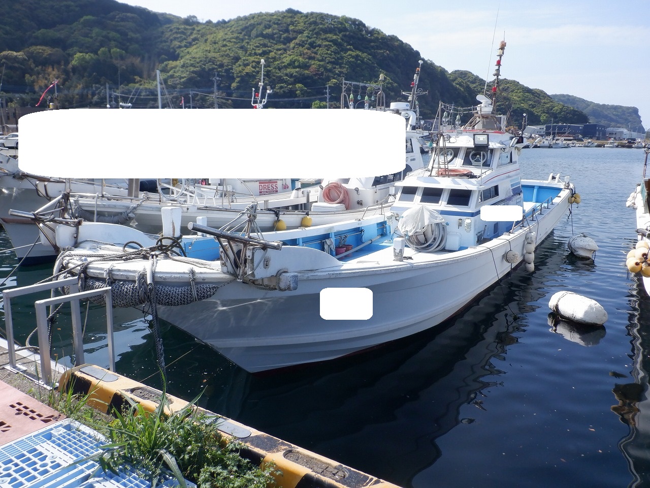 imagekashiwagizousen53ft