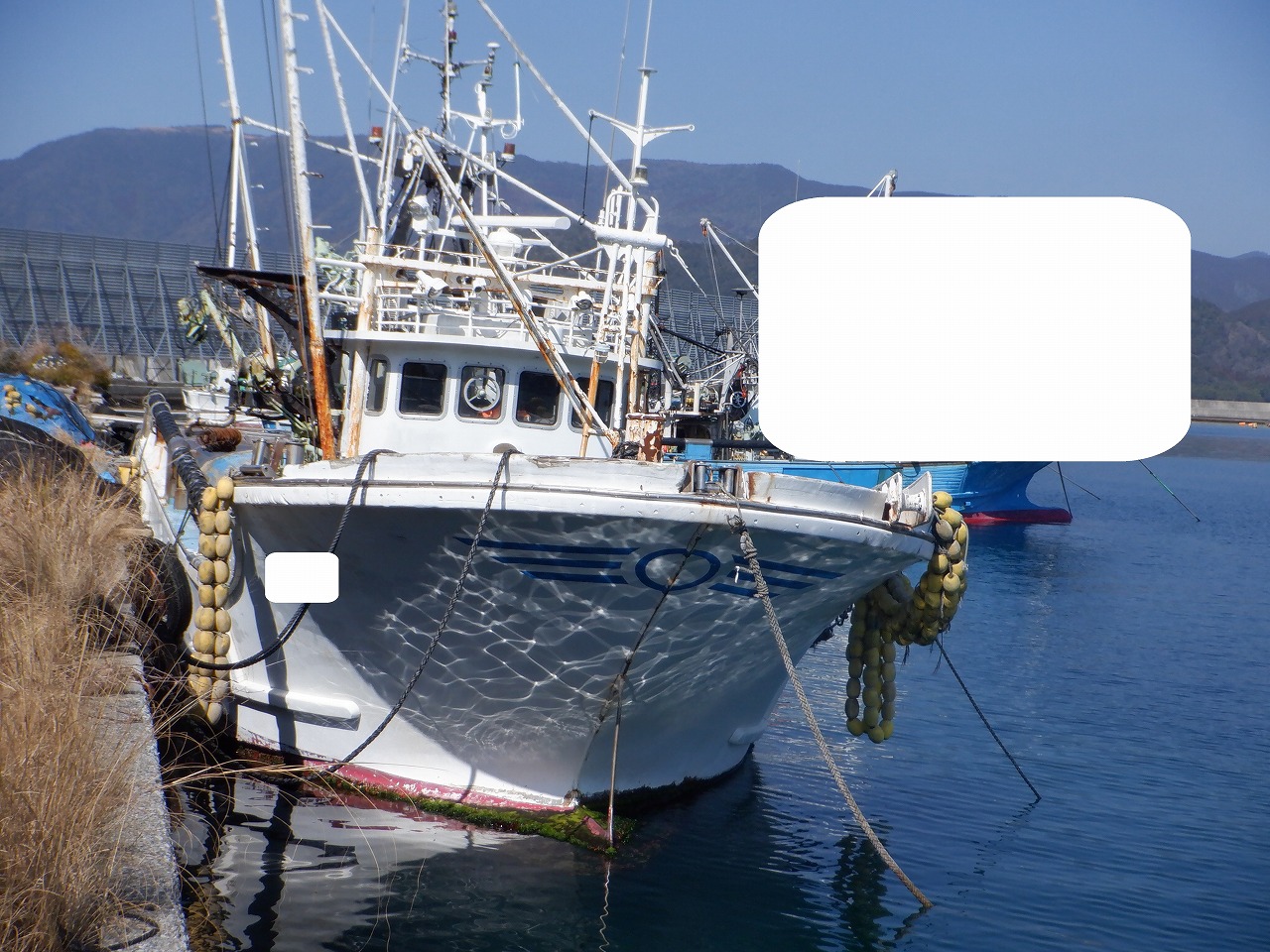 imagetyugatamakiamigyosen19t