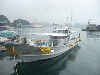 imageyamahady57bitei