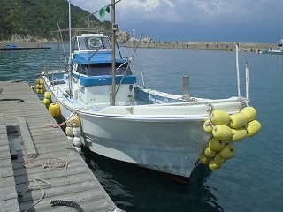 imageyanmarsenhayasio31