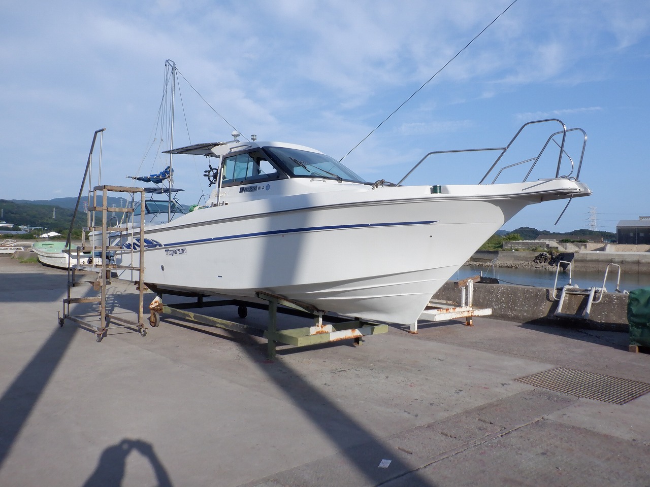 imageyanmartoprunfx24czis