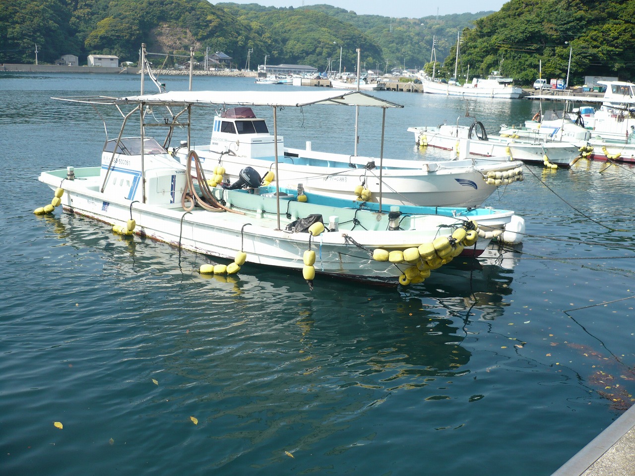 imageyanmarzddoraibusen01